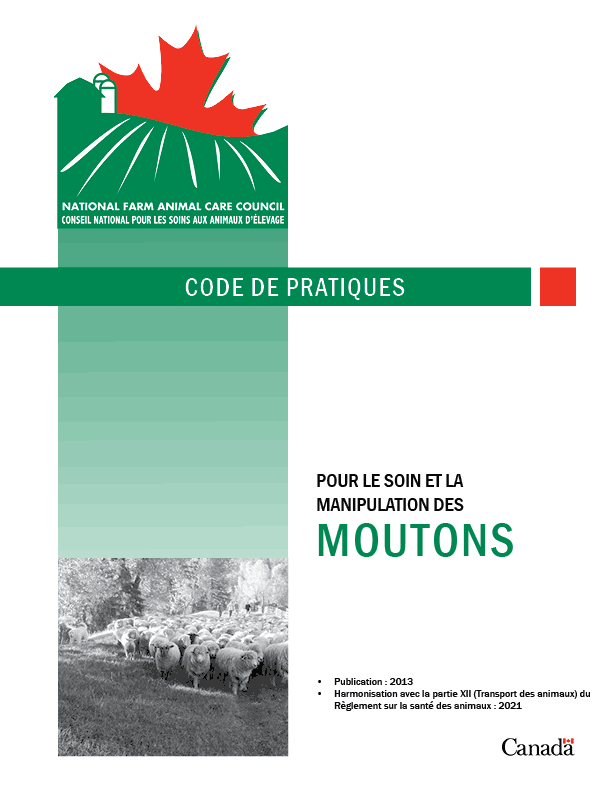 Code de pratiques pour le soin et la manipulation des moutons